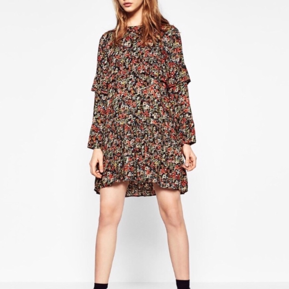 Zara Floral Ruffled Long Sleeve Mini Dress